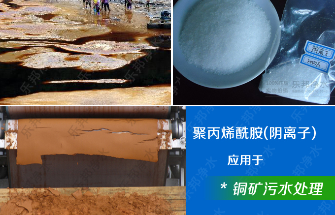 乐邦阴离子聚丙烯酰胺（APAM）