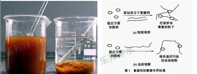 絮凝沉降